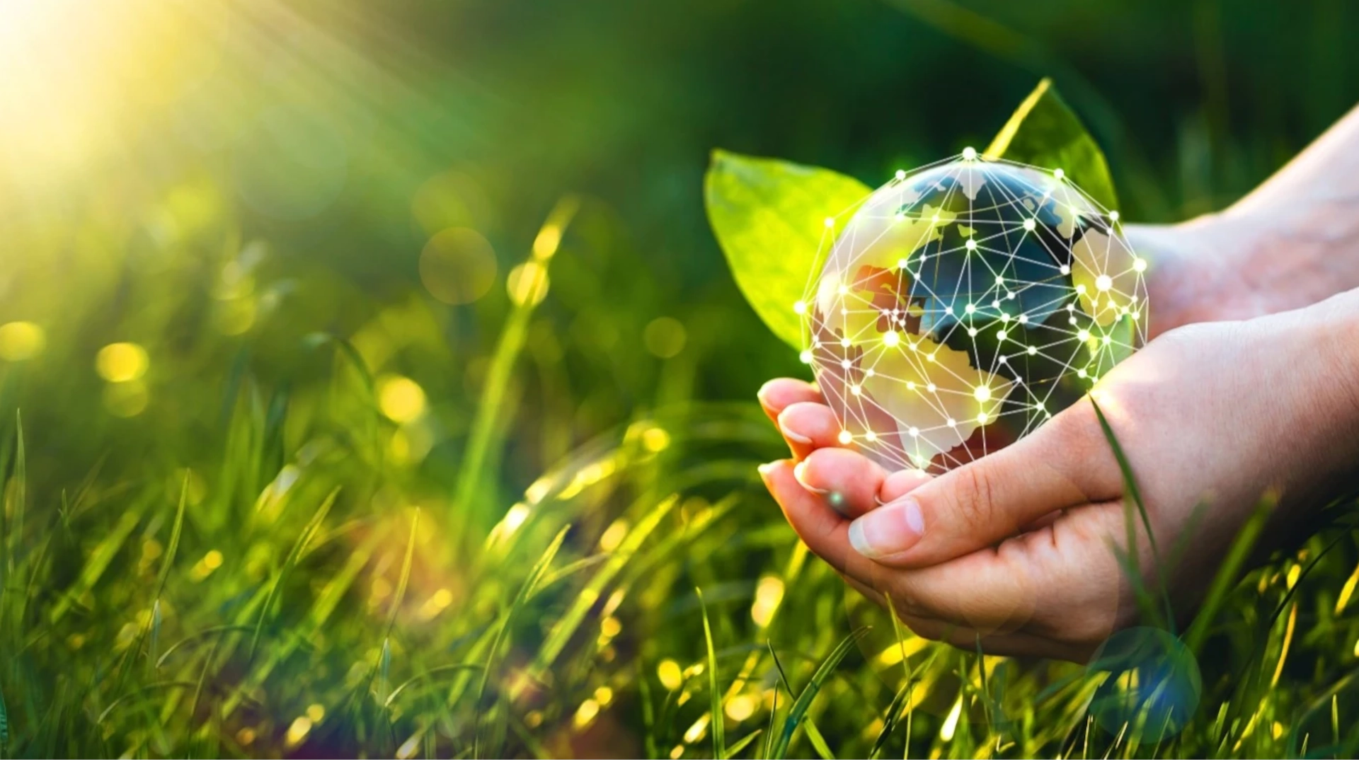 FEN Futurum Energy Nordhorn – Solarenergie